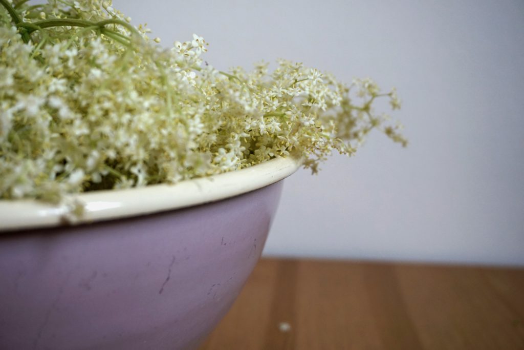 DSC03358 1024x683 - Holunderblütensirup selber machen - Ein Rezept aus der Zero Waste Küche