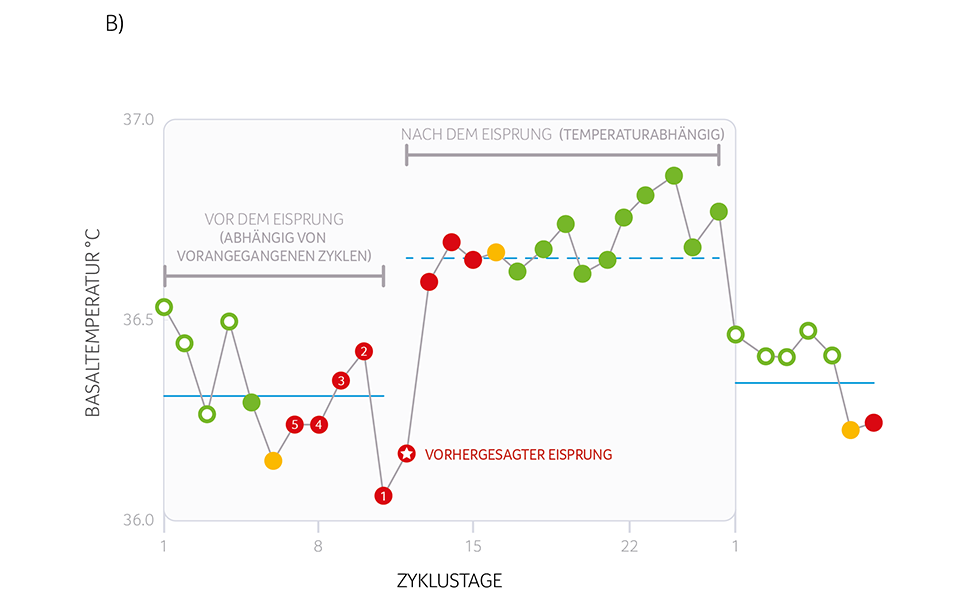 abbildung 1 b de.png  964x600 q90 crop upscale - Meine Verhütung ohne Hormone